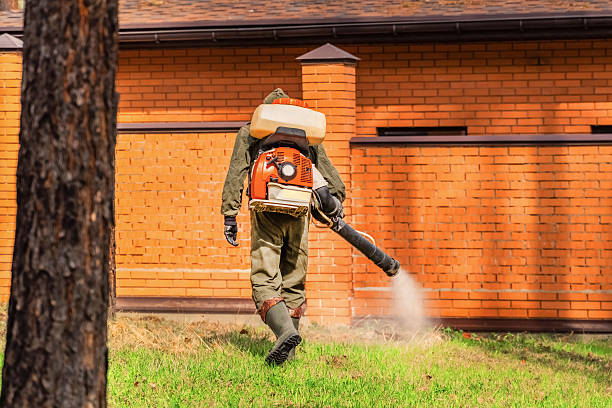 Trusted Ant Control service in New Berlinville, PA - Nex Pest Control